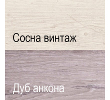 Четырехстворчатый шкаф для одежды с зеркалом Монако 4D2S